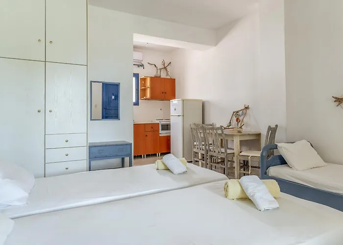 Perasma Studios 7 Kipri (Andros)